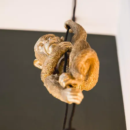 Hotel Jungle No5 Boutique - City-center