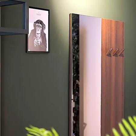 Hotel Jungle No5 Boutique - City-center