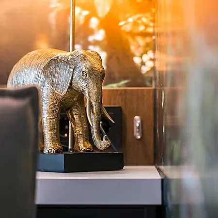 Jungle No5 Boutique - City-center Hotel
