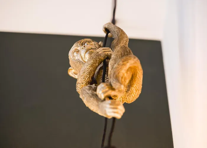 Hotell Jungle No5 Boutique - City-center